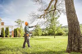 Best Arborist Consultation Services  in Hobart, IN