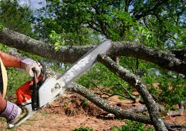 Best Commercial Tree Services  in Hobart, IN