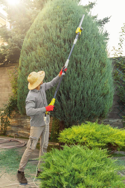 Best Lawn Dethatching  in Hobart, IN